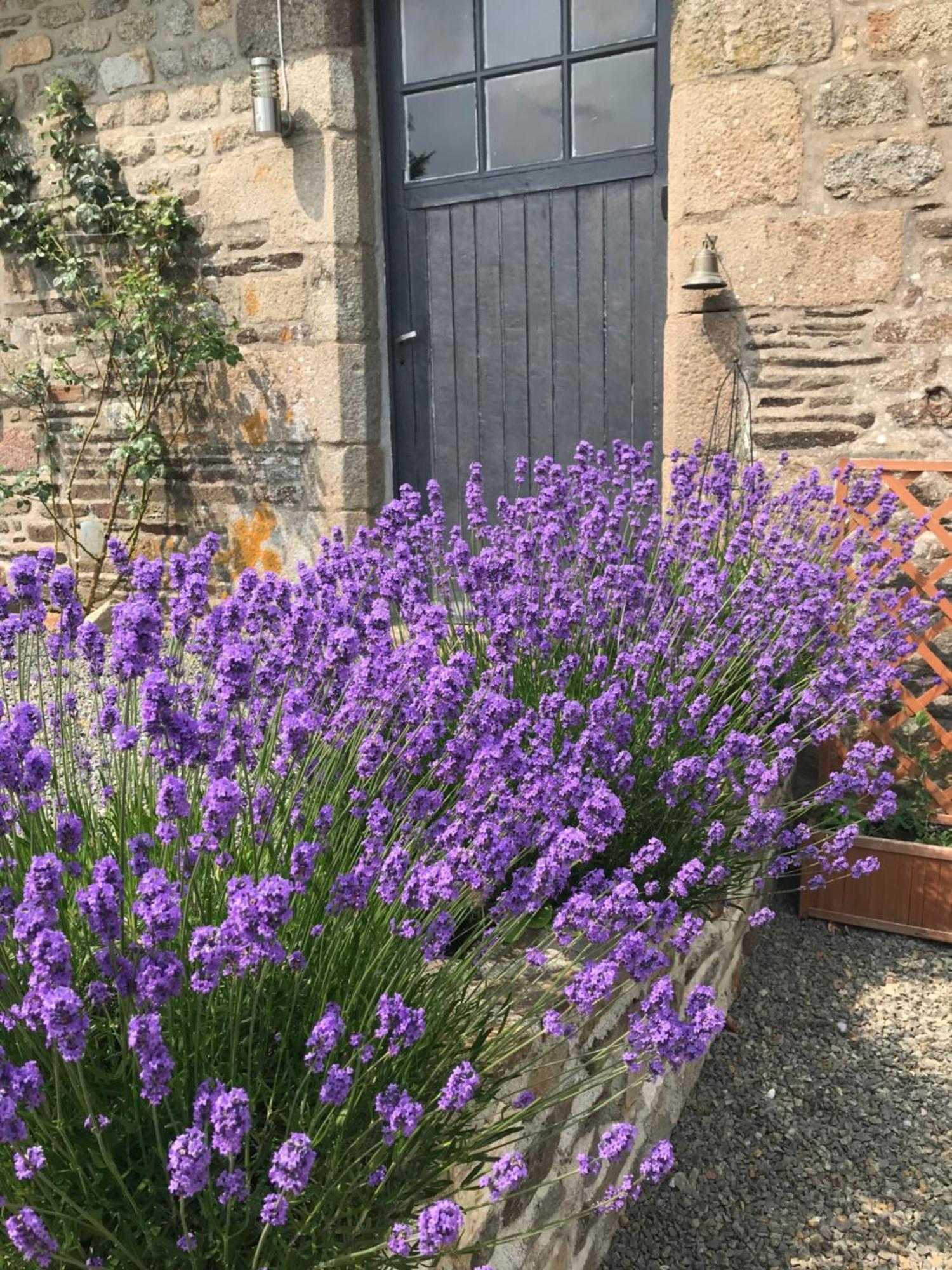 Ferme De Noyes Bed & Breakfast Sourdeval Exterior photo